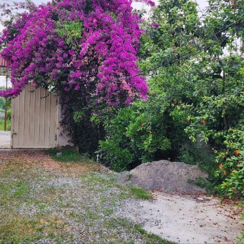 ویلا 150متری تک خواب با باغ 500متری زیبا