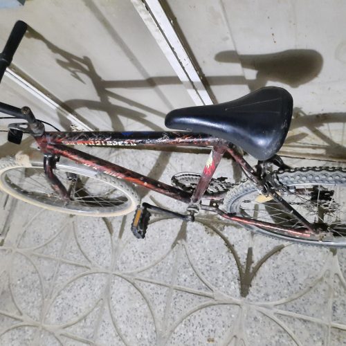 دوچرخه فروشی سالم