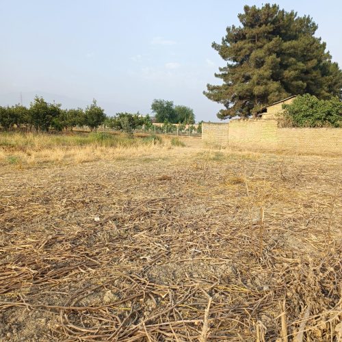زمین مسکونی کشاورزی(باغی)