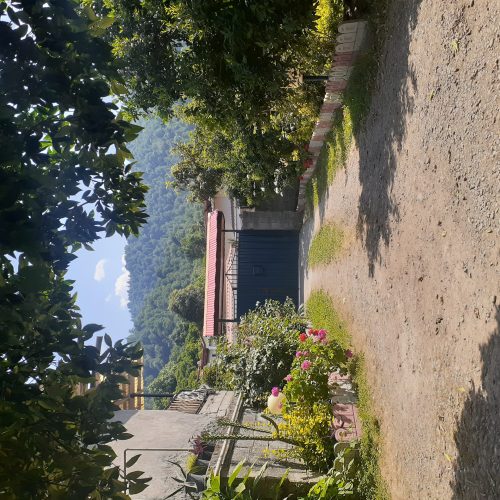 اجاره روزانه سوئیت کوهپایه نزدیک تله کابین رامسر