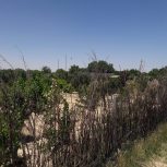 فروش باغچه 2000 متری تا قطعات 500متری