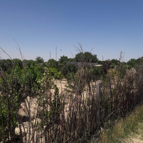 فروش باغچه 2000 متری تا قطعات 500متری