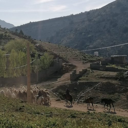 فروش خانه ویلایی روستایی