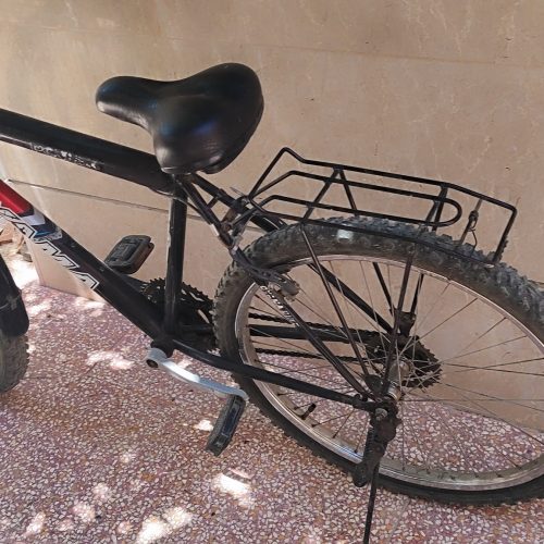 دوچرخه خونگی
