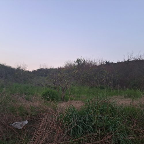 فروش زمین،باغ در شهر زیبای ارطه