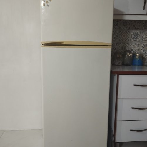 یخچال مارک فلور