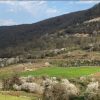 فروش زمین باغی