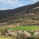 فروش زمین باغی