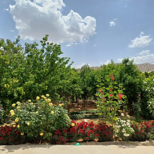 اجاره روزانه و هفتگی خونه باغ در روستای گلگل 20 کیلومتری ایلام