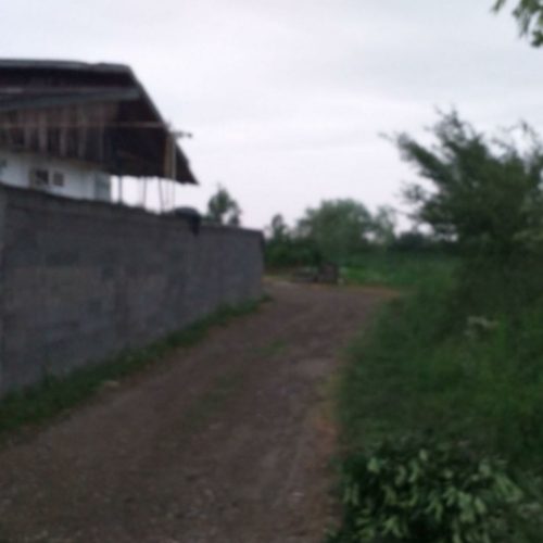 خانه و محوطه 1500متری سند داربا 7000متر شالیزار