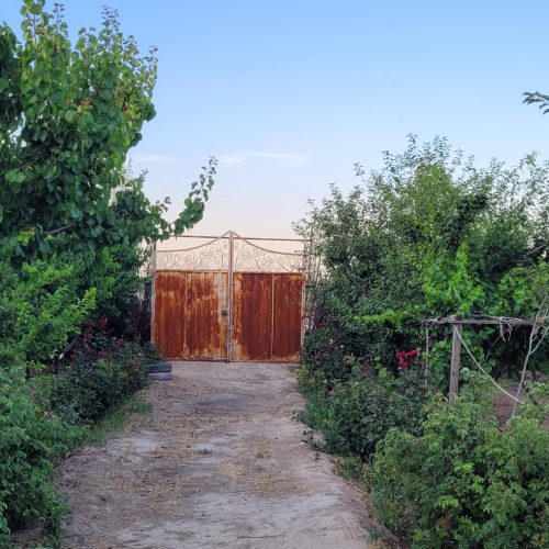 باغ متراژ1300