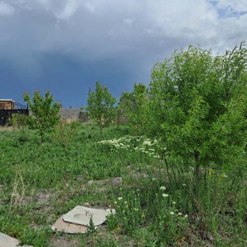 باغ 1050 متری سعیدلو با چاه آب مستقل لوله کشی شده