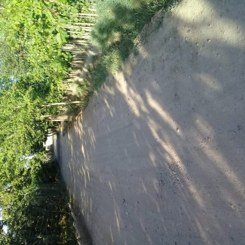 فروش باغ میوه زردآلو وبه وآلوچه