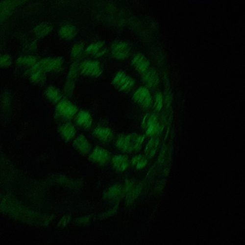 گوهر شب چراغ اصل