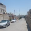 زمین سند دار تک برگ