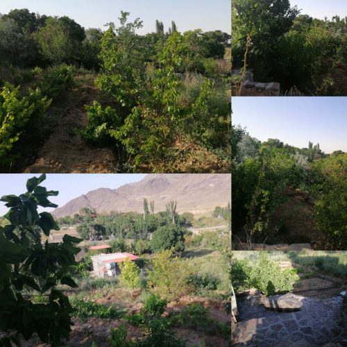 باغ 800متری بهمراه اتاق 30 متری