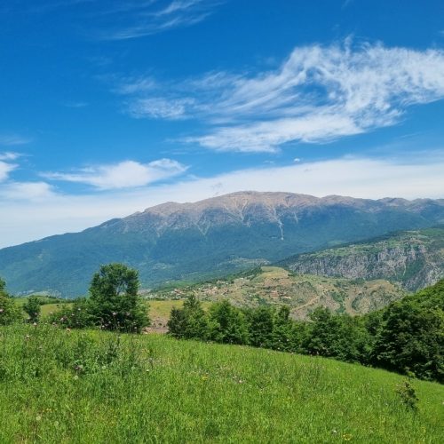 فروش زمین داخل طرح هادی