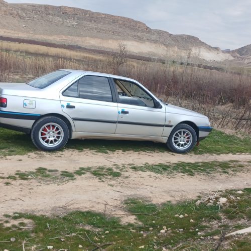 405 مدل 91 دوگانه شرکت