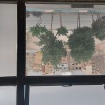 دفتر کار بر گلخانه خانه اصفهان