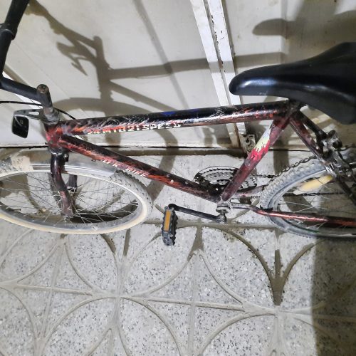 دوچرخه فروشی سالم