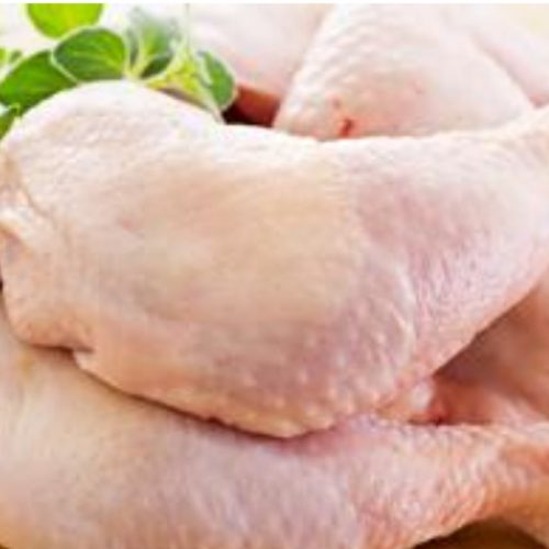 پخش مرغ تازه