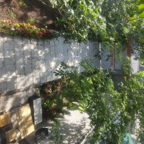 اجاره ویلا سوئیسی و سوئیت