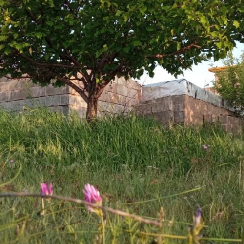 فروش باغ و قطعه ویلایی