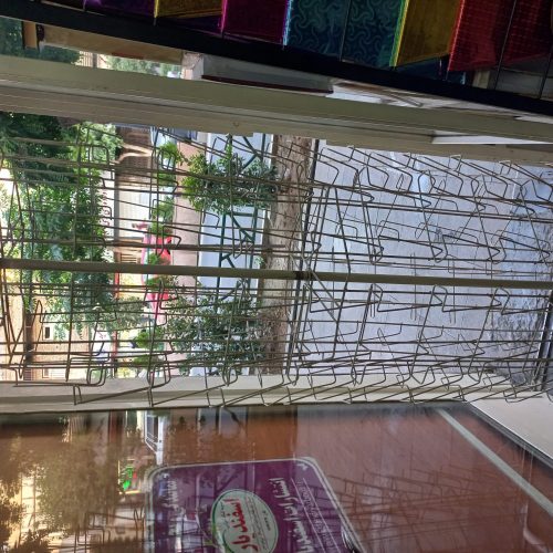 رگال و قفسه ایستاده