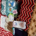 همه تازه ونو