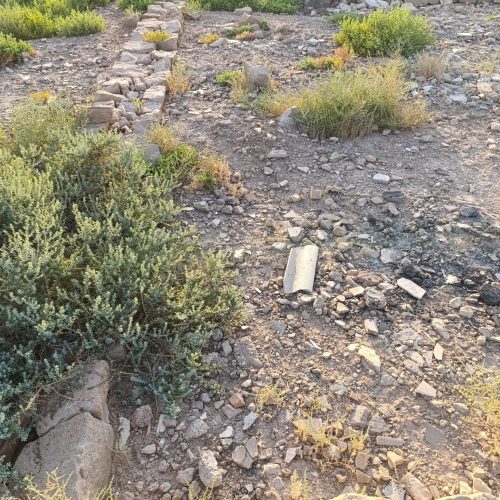 زرگان کوی فدک