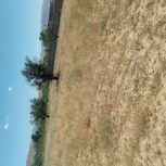 داشتن آب و برق بالا سرش و برجاده