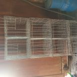 جفت کن کبوتر