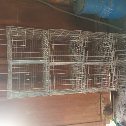 جفت کن کبوتر