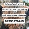 تکمیل البوم کاری جهت امبره ،بالیاژ ،رنگ و لایت