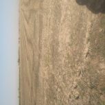 اجاره زمین کشاورزی