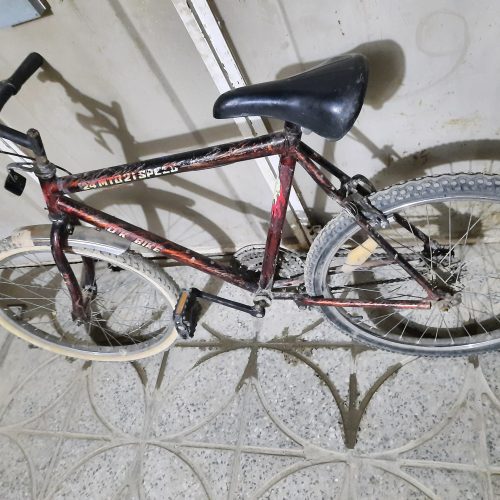 دوچرخه فروشی سالم