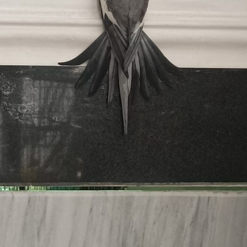 جفت عروس هلندی مولد