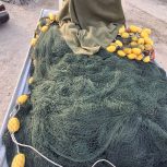 جل ماهی درازی330 طول36 چشم14 درحدصفر