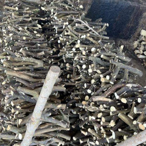 تولید و پخش عمده انواع ذغال با بهترین کیفیت