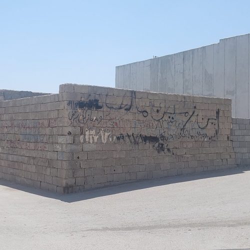 زمین سند دار تک برگ