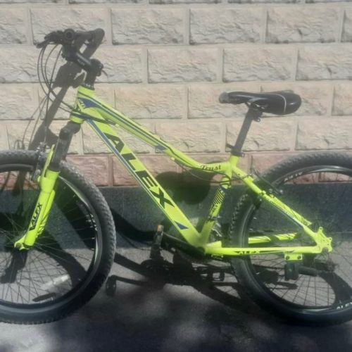 دوچرخه الکس سایز 24