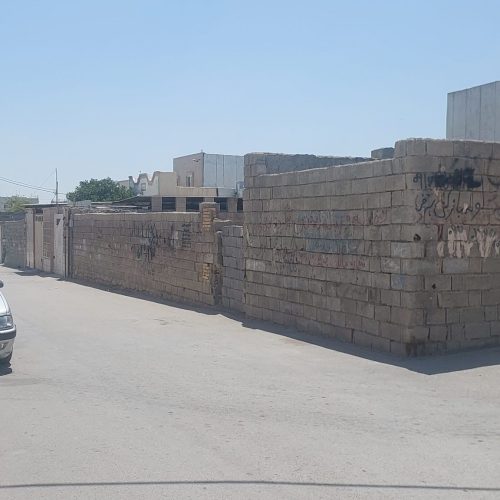 زمین سند دار تک برگ