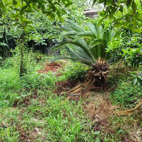 ویلا 150متری تک خواب با باغ 500متری زیبا