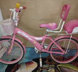 دوچرخه سایز 20