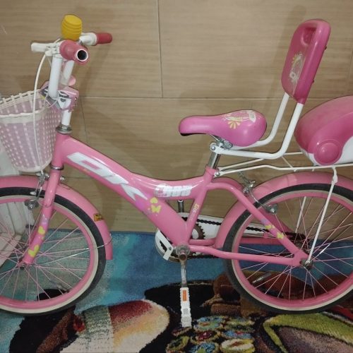 دوچرخه سایز 20