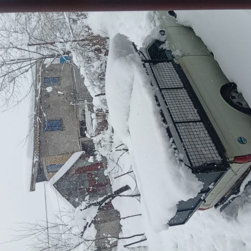 کفی مبلی وانت