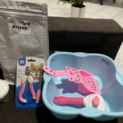 گربه پرشین گارفیلدی