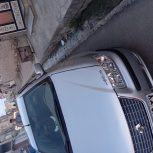 سمند معمولی