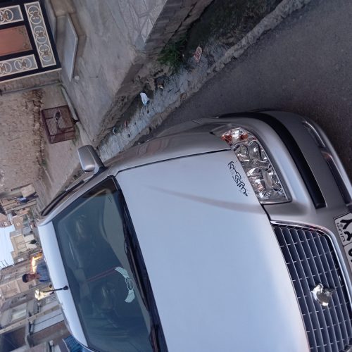 سمند معمولی