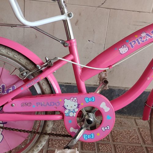 دوچرخه 20پرادو